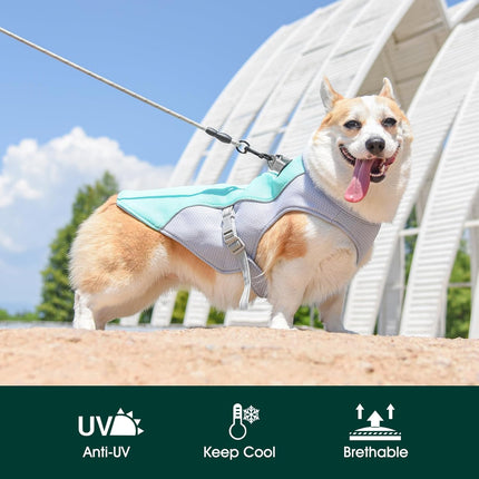 Cooling Dog Vest | Reflective Summer Harness with Quick-Release Buckles | Adjustable Fit for Comfort 3