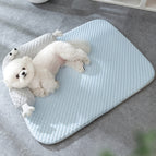 Blue / Small (17.7