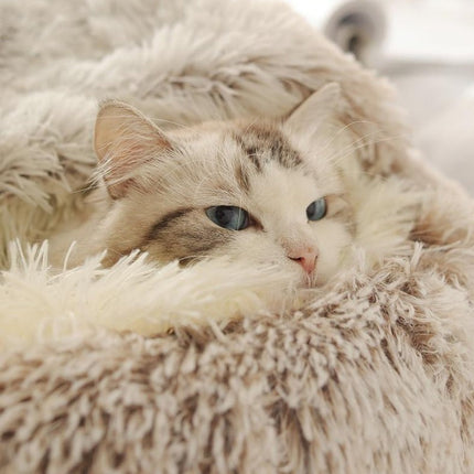 Cozy Collection | Cat Cave Bed with Plush Fabric & Ergonomic Design | Secure Retreat for Comfort and Serenity 3