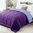 Purple/Lavender / Twin