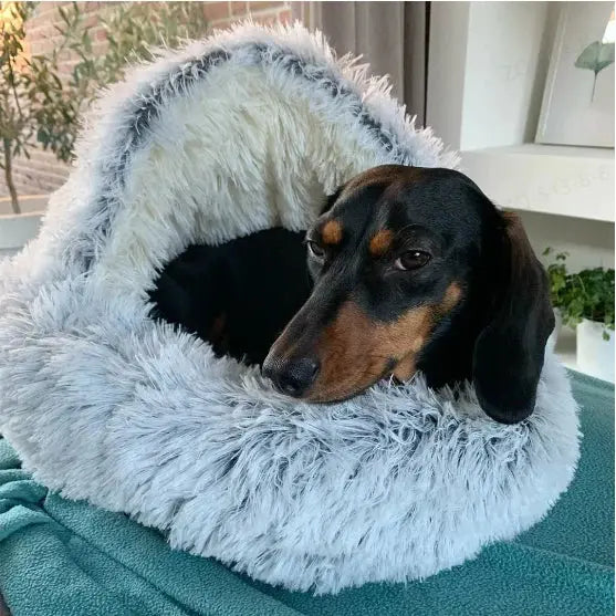 Cozy Haven | Large Dog Bed with Anti-Slip Base | Comfortable Sanctuary for Ultimate Relaxation 0