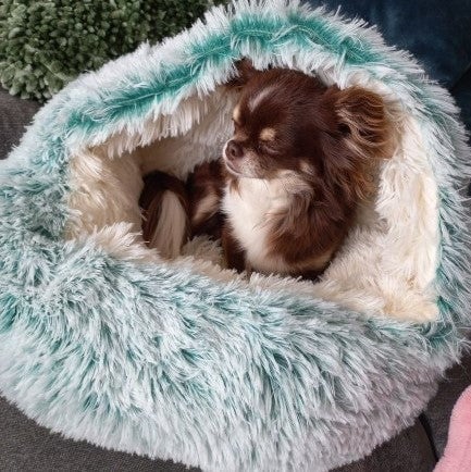 Cozy Haven | Premium Pet Bed with Anti-Slip Design | Multi-Purpose Comfort for All Breeds 1