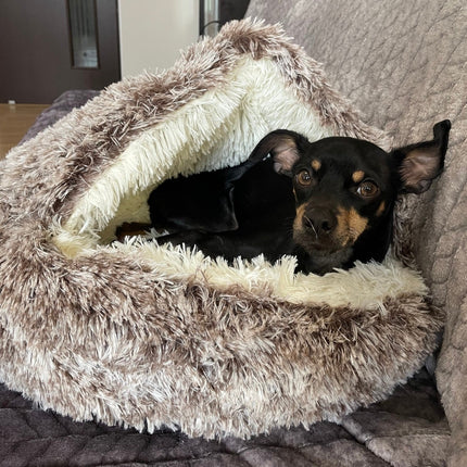 Cozy Haven | Premium Pet Bed with Anti-Slip Design | Multi-Purpose Comfort for All Breeds 2