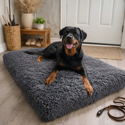 Cozy Pet Haven | Washable Dog Bed with Raised Edge for Comfort | Indoor Sleeping Solution for All Breeds 4