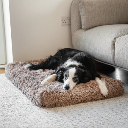 Cozy Pet Haven | Washable Dog Bed with Raised Edge for Comfort | Indoor Sleeping Solution for All Breeds 5