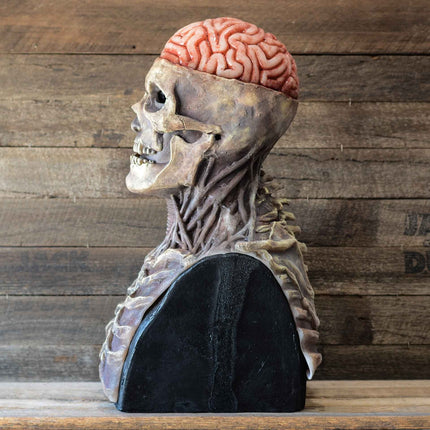 Creepy Skeleton Mask | Realistic Skull Mask with Moving Jaw for Halloween Fun 4