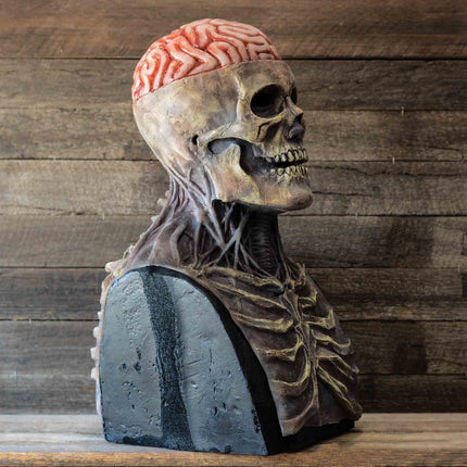 Creepy Skeleton Mask | Realistic Skull Mask with Moving Jaw for Halloween Fun 5