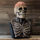 Creepy Skull | Scary Halloween Mask with Realistic Bone Design | Perfect for Spooky Events 0