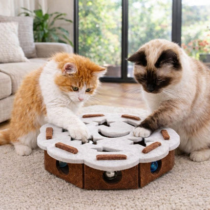 Curious Cat | Interactive Cat Toy with Hidden Ball & Soft Tunnels | Engaging Play for Indoor Cats 6