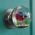 Butterfly Carp
