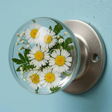 Decorative Door Knobs, Screw On Door Knob with 3D Pattern