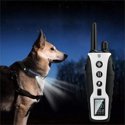 Dog Training Collar with Remote