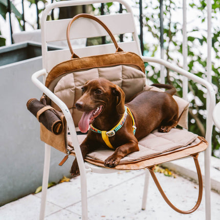 Eco-Friendly Pet Travel Bag Carrier with Expandable Space | Stylish Design for Safe Adventures 1