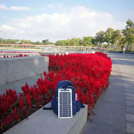 EcoCharge | Portable Solar Phone Charger with USB Output | Waterproof Design for Outdoor Adventures 3