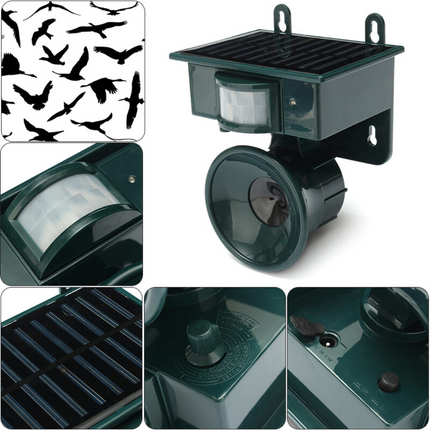 EcoGuard | Bird Deterrent Repeller with Motion Sensor & Natural Sounds | Effective Solution for Pigeon and Woodpecker Control 1