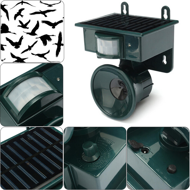 EcoGuard | Bird Deterrent Repeller with Motion Sensor & Natural Sounds | Effective Solution for Pigeon and Woodpecker Control 1