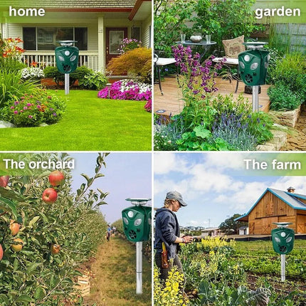 EcoGuard | Solar-Powered Animal Deterrent System with 360° Coverage | Effective Cat & Rat Repellent for Your Yard 3
