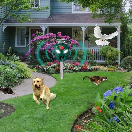 EcoGuard | Solar-Powered Animal Deterrent System with 360° Coverage | Effective Cat & Rat Repellent for Your Yard 4
