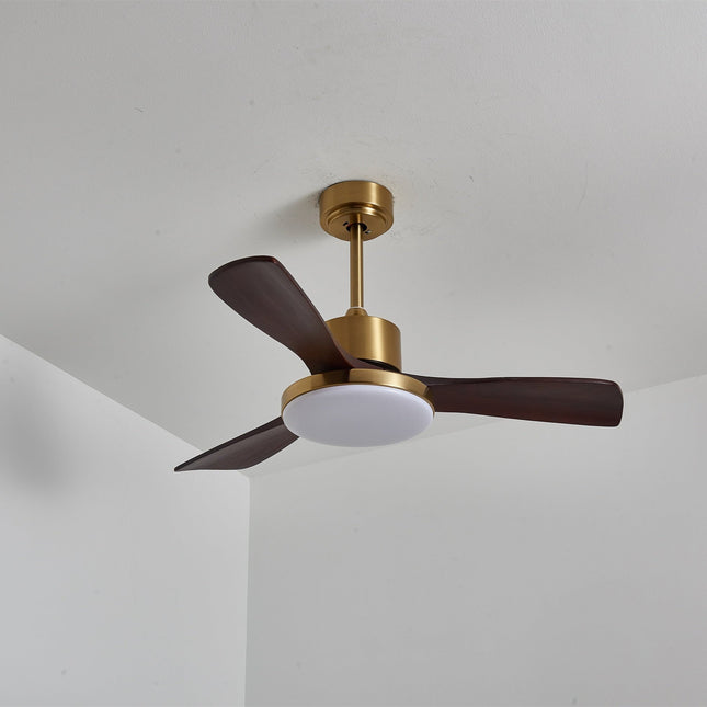 Elegant Ceiling Fan | Modern Ceiling Fan with Integrated LED Lights | Whisper-Quiet Design for Year-Round Comfort 0