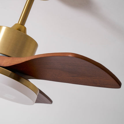 Elegant Ceiling Fan | Modern Ceiling Fan with Integrated LED Lights | Whisper-Quiet Design for Year-Round Comfort 4