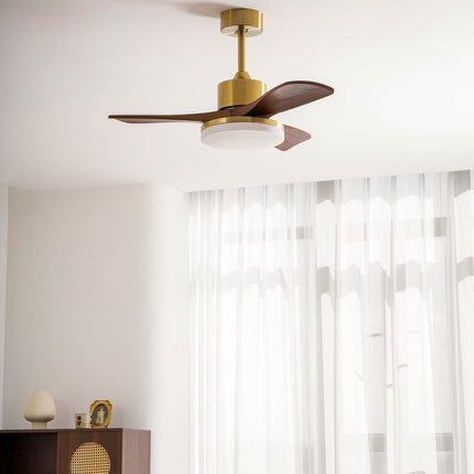 Elegant Ceiling Fan | Modern Ceiling Fan with Integrated LED Lights | Whisper-Quiet Design for Year-Round Comfort 6