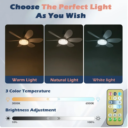 Elegant Flower | Modern Ceiling Fan with Remote Control & LED Lights | Stylish Home Decor Fandelier 4