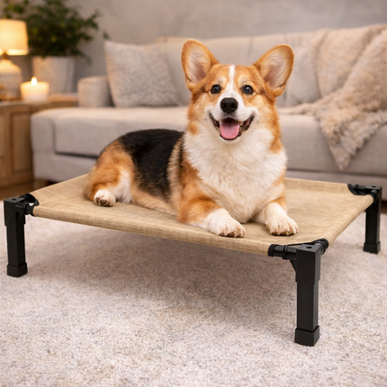 Elevated Dog Bed with Breathable Mesh Fabric & Chew-Proof Design for Ultimate Comfort 6