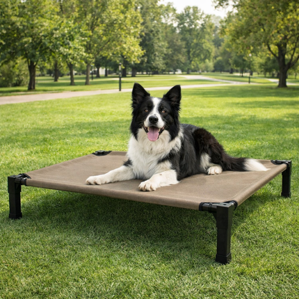 Elevated Dog Bed with Breathable Mesh Fabric & Chew-Proof Design for Ultimate Comfort 7