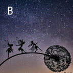 B