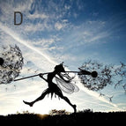 D
