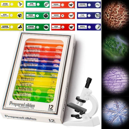 ExplorerLens | Portable Microscope for Kids with 60x-120x Magnification | Compact Design for Outdoor Exploration 3