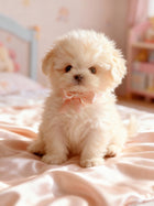 Interactive Plush Toy Puppy That Barks and Wags Tail, Barking Dog Toy, Interactive Stuffed Animal, Realistic Toy Puppy