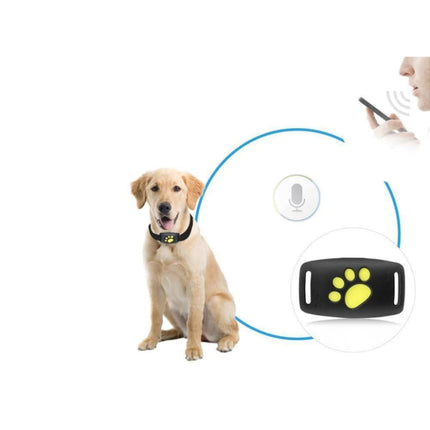 Feline Guardian | Cat GPS Tracker Collar with Real-Time Location Updates | Compact Design for Pet Safety 2