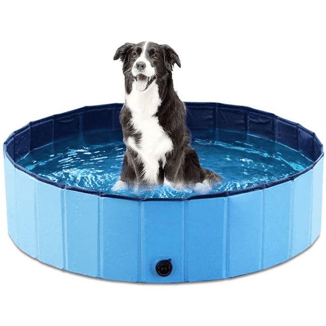 Foldable Dog Pool | PVC Dog Swimming Pool with No Inflation Design | Perfect for Summer Fun for Pets 0