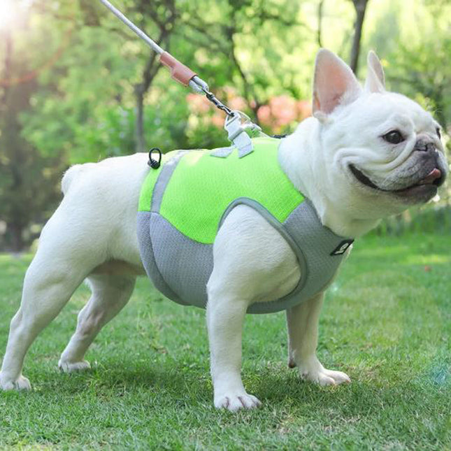 Dog Cooling Vest, Reflective Cooling Vest for French Bulldog, Lightweight Mesh Dog Clothes for Summer with D Ring