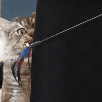 Cat Scratchers for Furniture – image 16