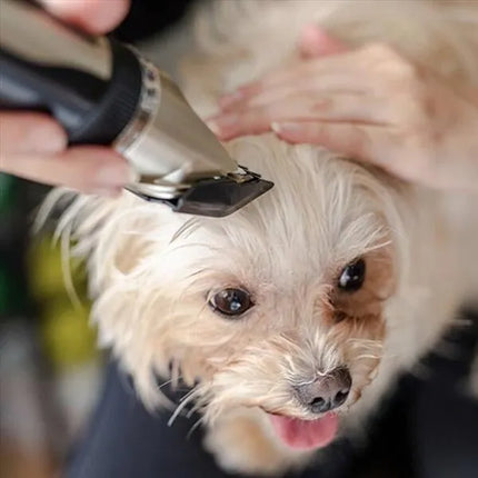 Dog Clippers Cordless Low Noise, Dog Hair Trimmer