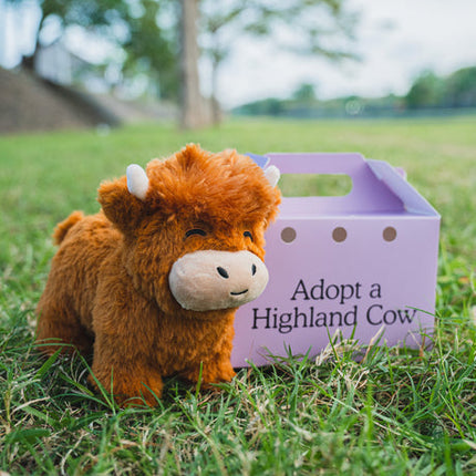 Realistic Highland Cow Plush Toys, Cow Plushie – image 9