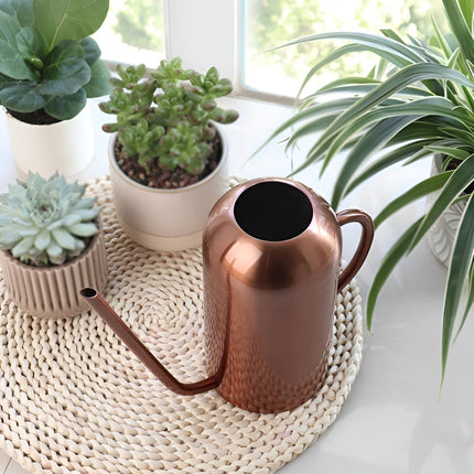 Garden Essentials | Metal Watering Can with Ergonomic Spout | 1.5L Capacity for Efficient Indoor Plant Care 3