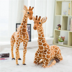 Height 120cm