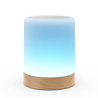 Single Lamp