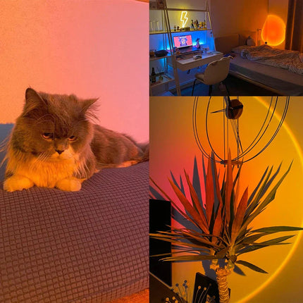 GlowSphere | Sunset Lamp with 4 Color Options & Adjustable Head | Perfect Ambient Lighting for Relaxation 2
