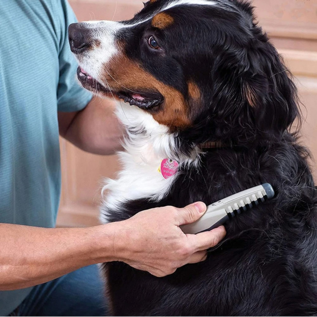 GroomRight | Dog Grooming Tool with Gentle Glide for Effortless Knot Removal | Ideal Dog Brush for All Fur Types 0