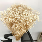 Dried Flower Bouquet, Natural Baby's Breath Dried Flowers, Preserved Gypsophila Flowers for Home Decor and Weddings
