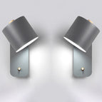 2 Gray