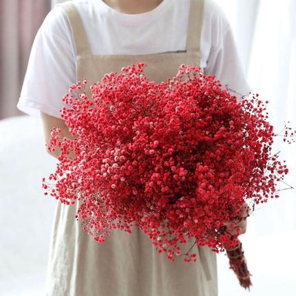 Dried Flower Bouquet, Natural Baby's Breath Dried Flowers – image 8