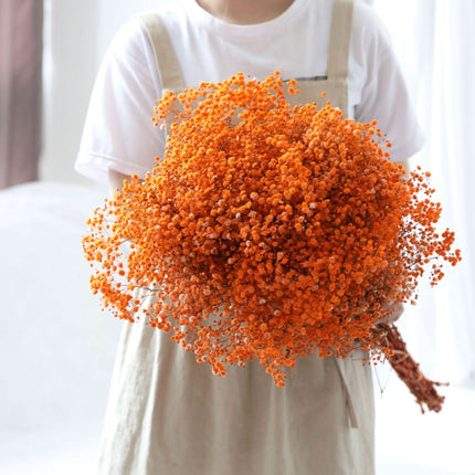 Dried Flower Bouquet, Natural Baby's Breath Dried Flowers – image 4