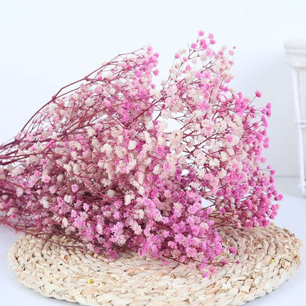 Dried Flower Bouquet, Natural Baby's Breath Dried Flowers – image 6
