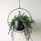 Metal Hanging Planter with Chain, Geometric Plant Hanger for Ceiling, Hanging Plant Holder with Drainage Holes