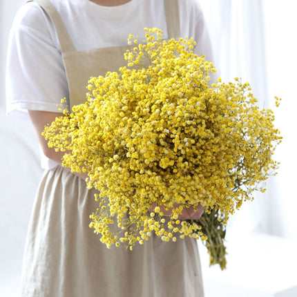 Dried Flower Bouquet, Preserved Gypsophila Flowers for Home Decor and Weddings – image 9